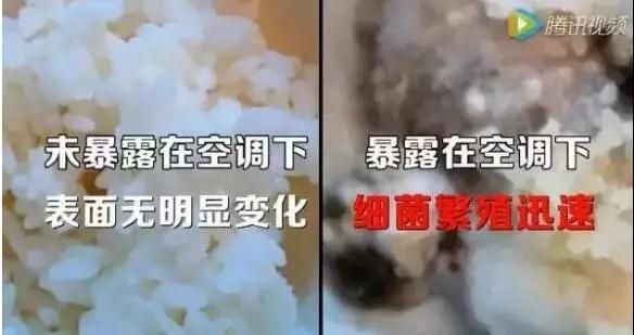 空调内部发霉 2e9ec629a15549dabb0331a41cd78e9a.jpeg