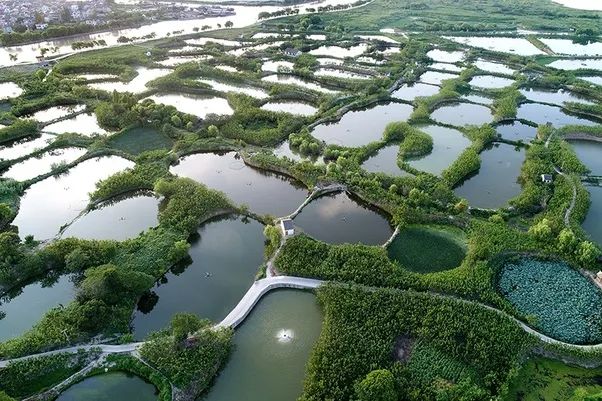湖州人均gdp_最多跑一次 ,浙江谁最赞 家乡需要你代言(3)