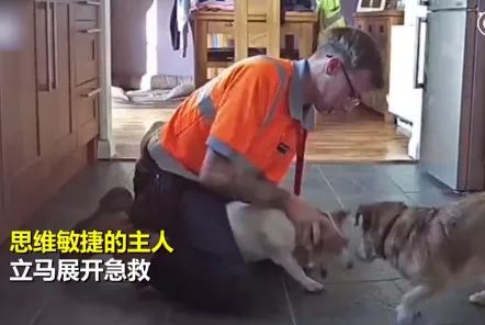                     7 月大婴儿误吸入葡萄窒息：早点知道这个急救法，能挽救孩子性命