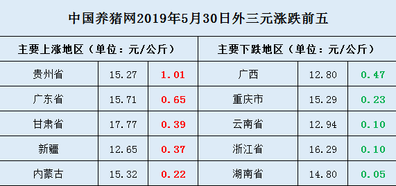 本地人口查询网(2)