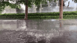 什么是龙舟水 4e759acd64944567ac5576cd3f10dcf7.gif