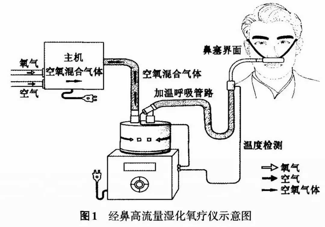 专家共识成人经鼻高流量湿化氧疗hfnc临床规范应用