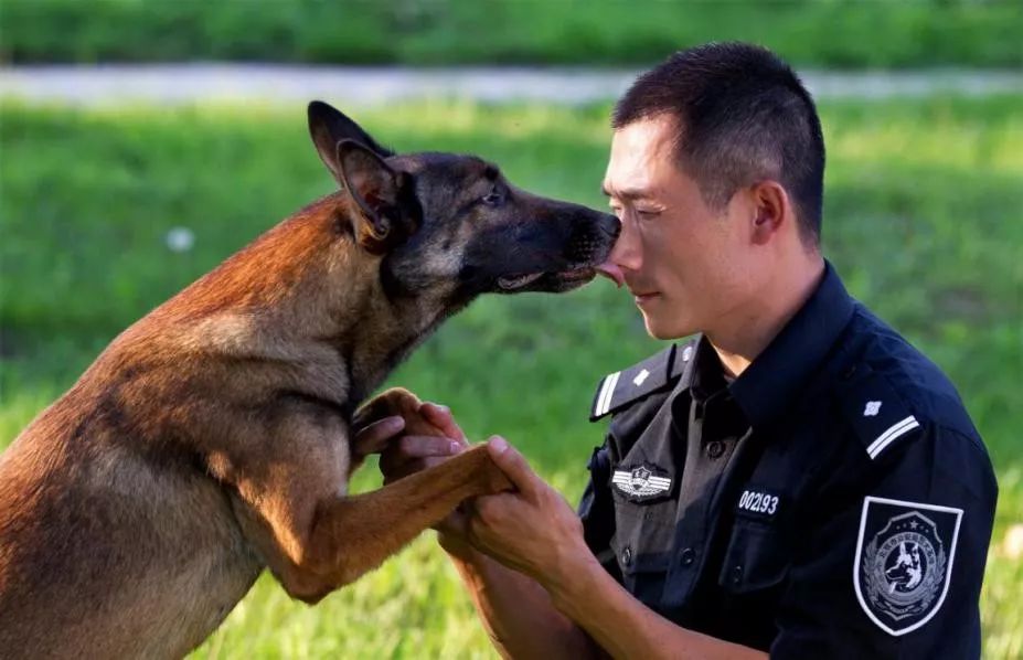 你從未見過的警犬墓地！那些警察與警犬刻骨銘心的故事…… 寵物 第8張