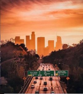 ucla是什么大学在什么地方 5fc3192876e247f4b43faac839c70683.jpeg