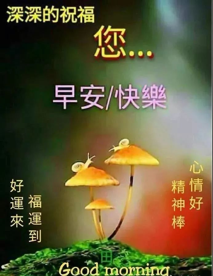 特漂亮的最新早上好动态表情图片,最美早安祝福语动图