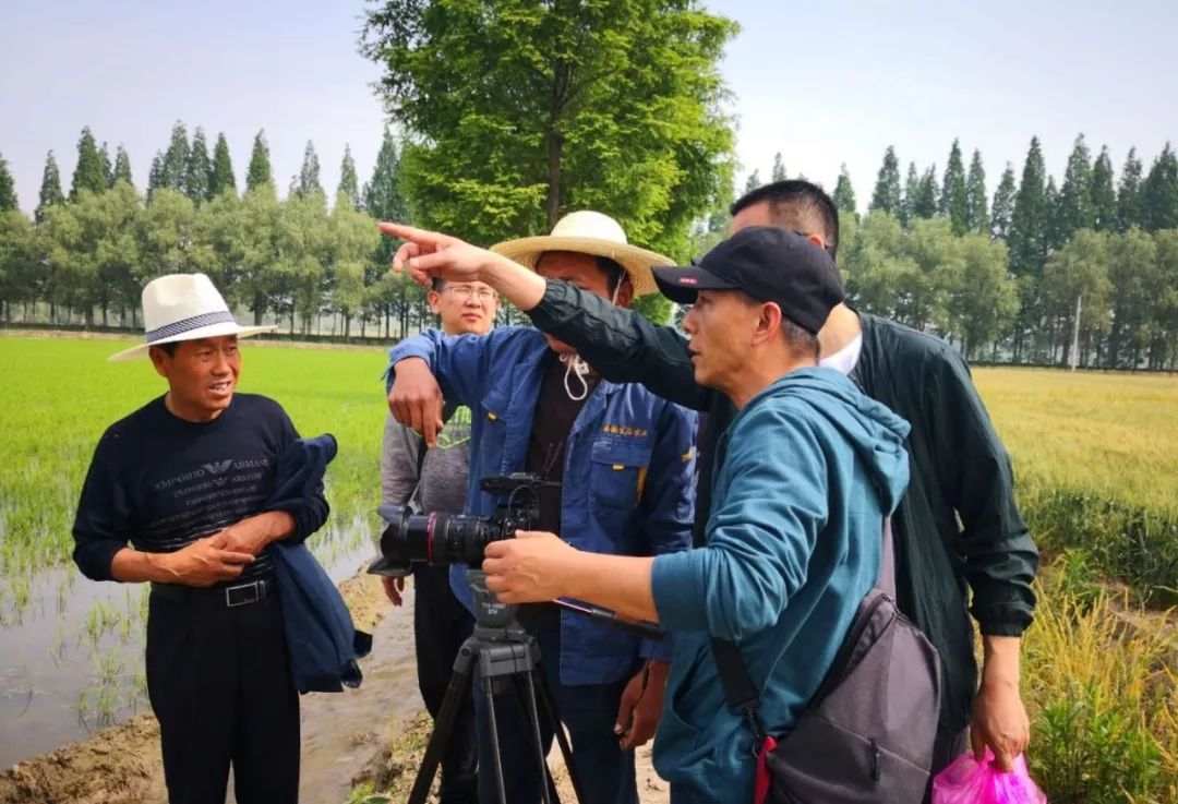 重点场景:全国种粮大户倪合长及农民在田间劳作参演人员:董瑞宜(全省