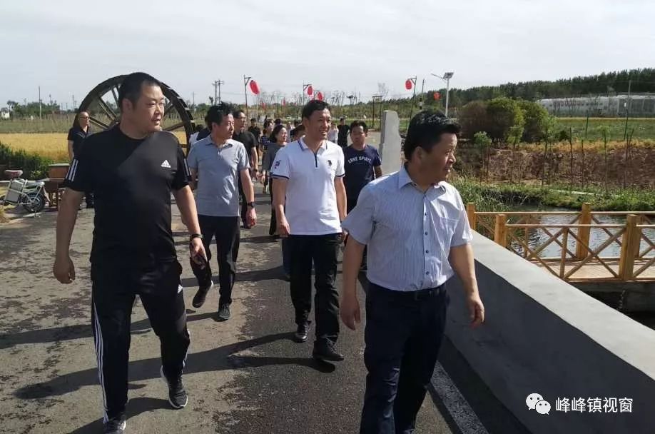 一周简讯//峰峰镇视窗(5月25日-5月31日)