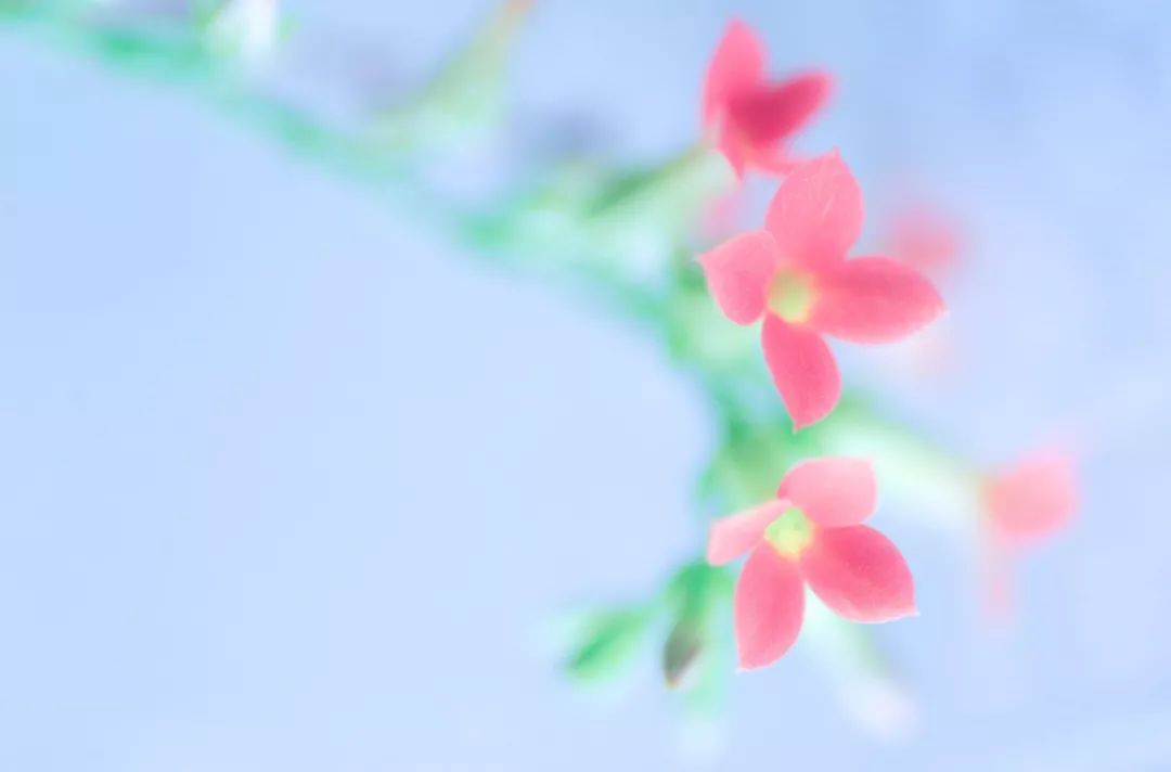 7f9300a63be9421a94c5f1282c5d7b31.jpeg