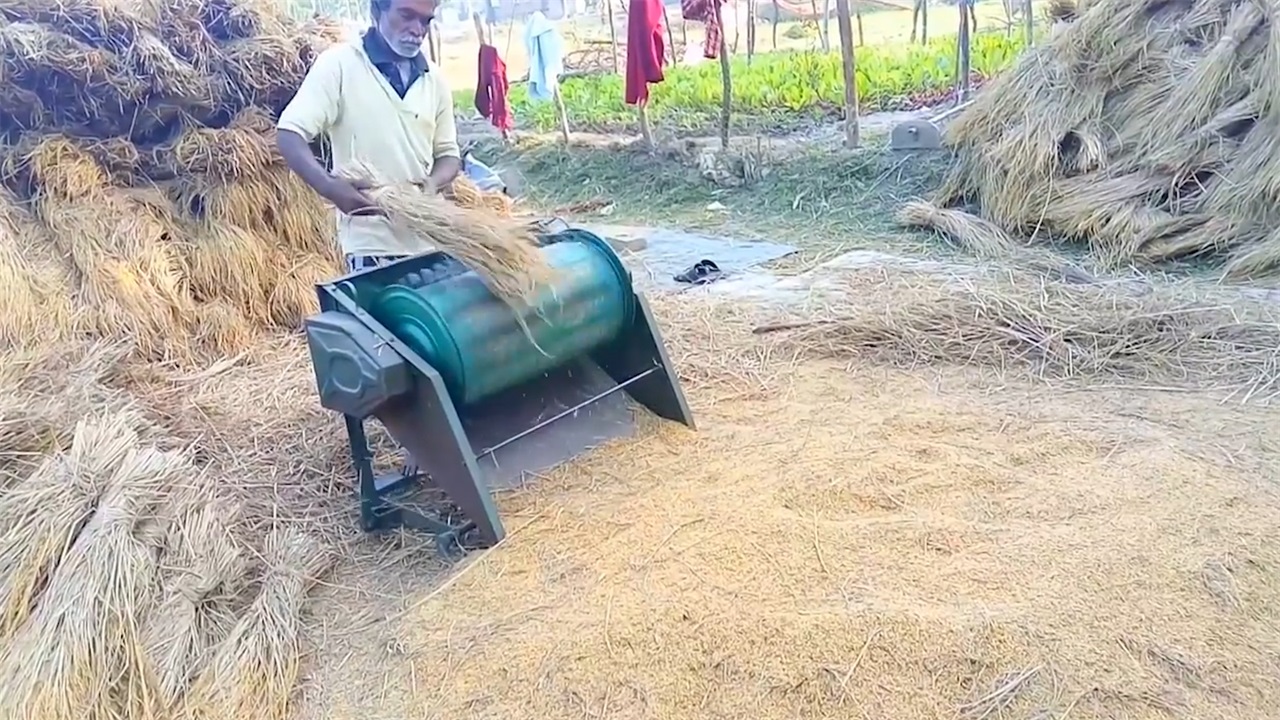 农民大叔发明水稻脱粒机,造价不到200元,一天脱粒2000