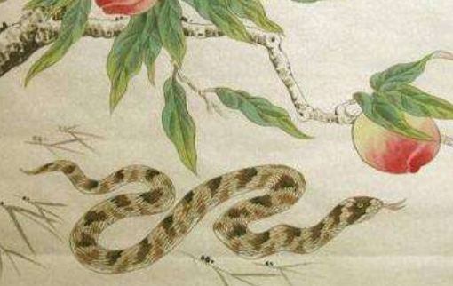 蛇属相今年 8cd6fd3214e84be9899b7ca42e5a4e6a.png