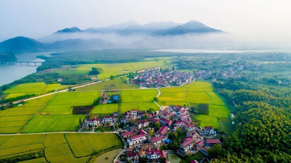 近年来,位于宁国市港口镇东南部的西村声名大噪,成为名副其实的"网红