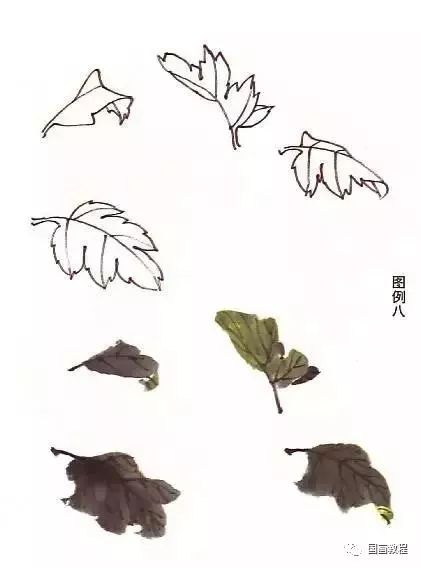 【国画教程】菊花的画法