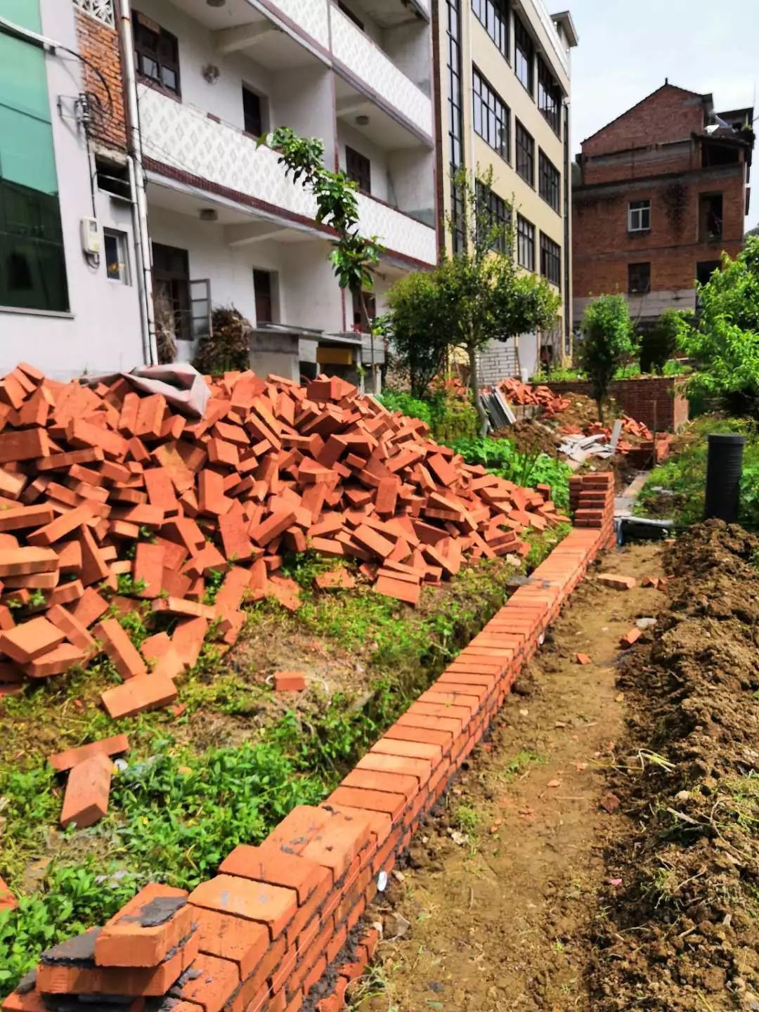 丽水联城街道竹道村人口数量_丽水联城路湾规划图(2)