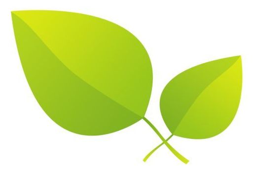 俄罗斯滨海边疆区经济总量_俄罗斯滨海边疆区地图