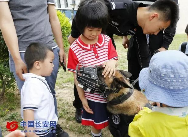 你從未見過的警犬墓地！那些警察與警犬刻骨銘心的故事…… 未分類 第3張