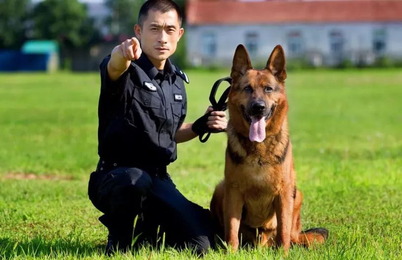 你從未見過的警犬墓地！那些警察與警犬刻骨銘心的故事…… 未分類 第10張