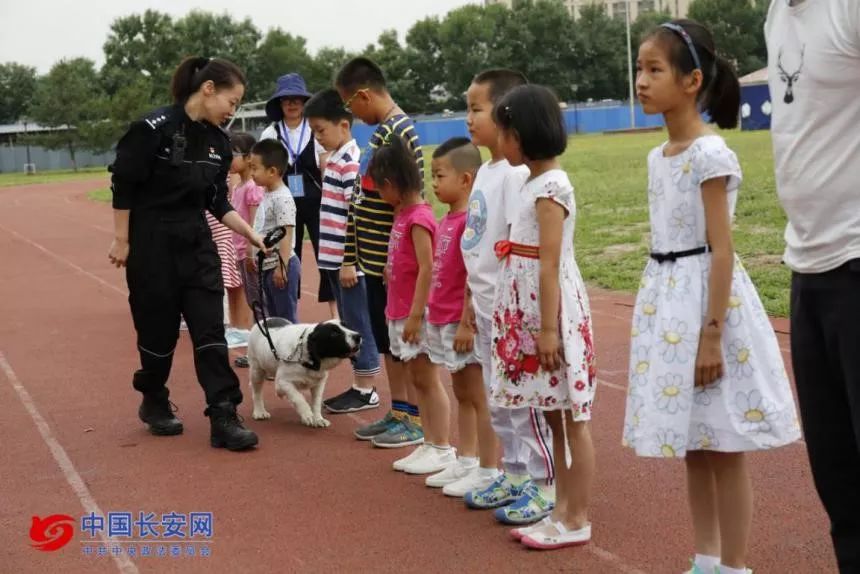 你從未見過的警犬墓地！那些警察與警犬刻骨銘心的故事…… 未分類 第4張