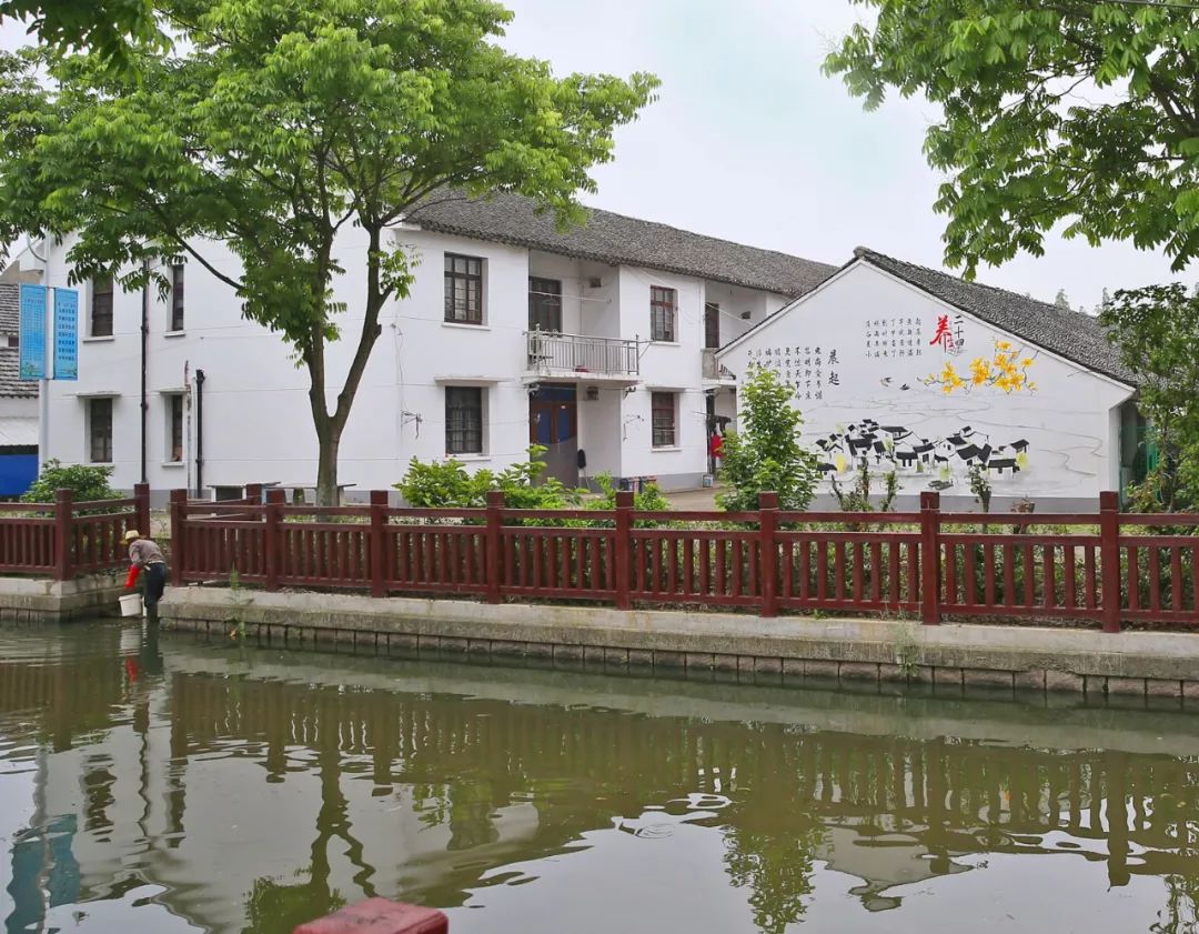 入选上海市2019年乡村振兴示范村去东夏村南杨村感受生态之美吧