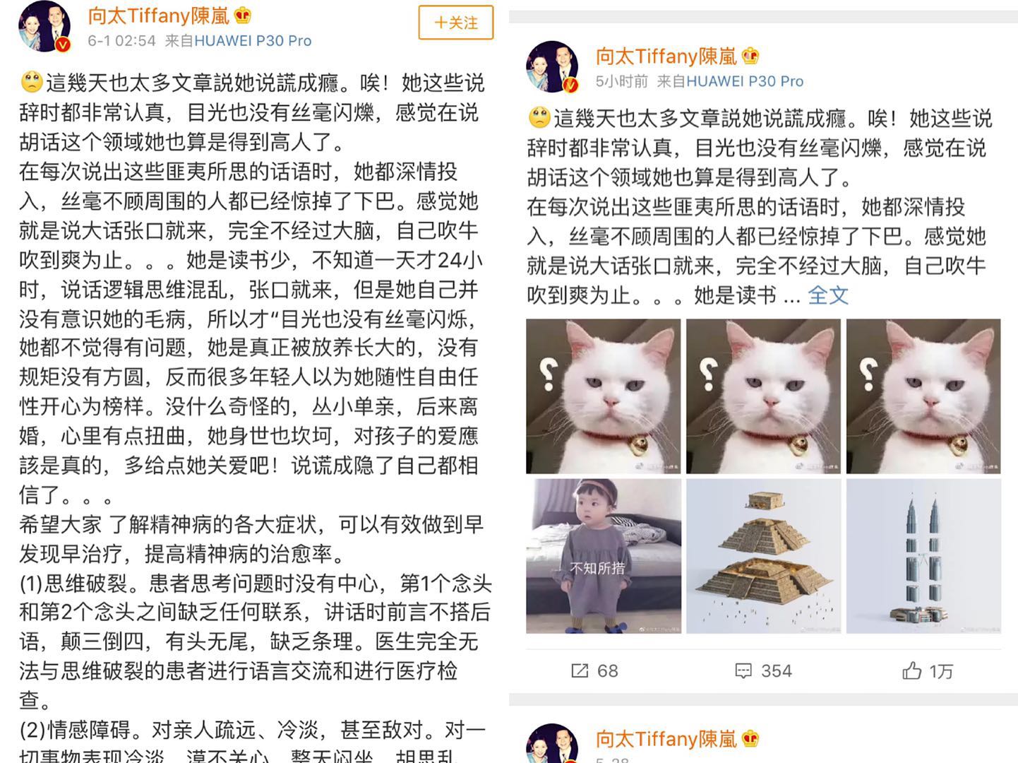 向太疑發文表露張柏芝扯謊底蘊，暗指其精力有標題，劣跡曾被曝光 娛樂 第6張