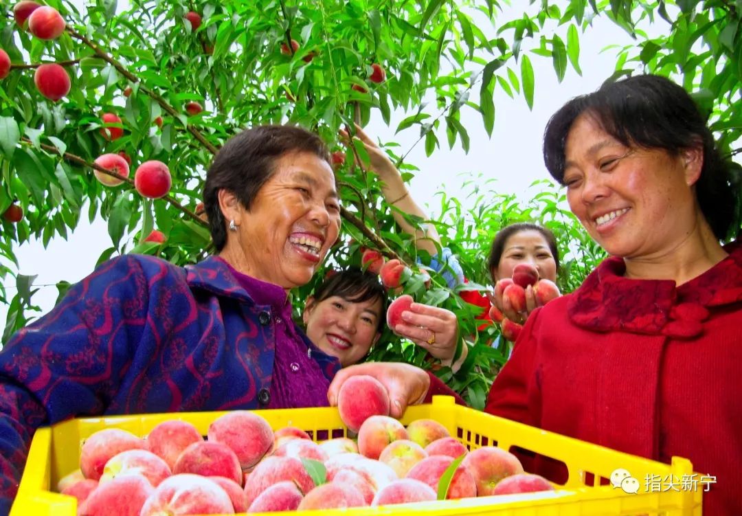 怎么卖水果才能发大财 da8b24fdfa2c488dbe4439022ed8741f.jpeg