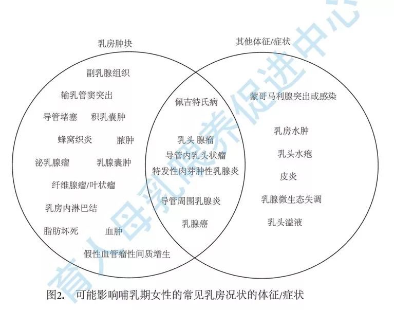 非组织性人口_权威发布 2018年,如皋市户籍人口期望寿命为81.62岁 其中女性84.(2)