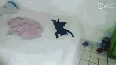 e6ca51e084b14a9aa79b9b9b034b38dd.gif