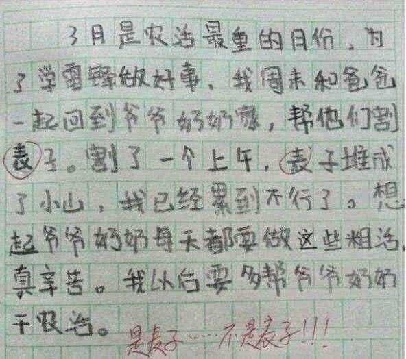 e8a92640b0124d9eb8ae8ca7a228cf3c.jpeg