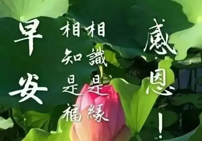 6月1日最新版早上好问候祝福语短信,最温暧的早安表情