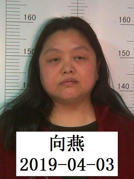 警方通告鹤峰向进涉黑团伙被打掉请知情人提供线索证据