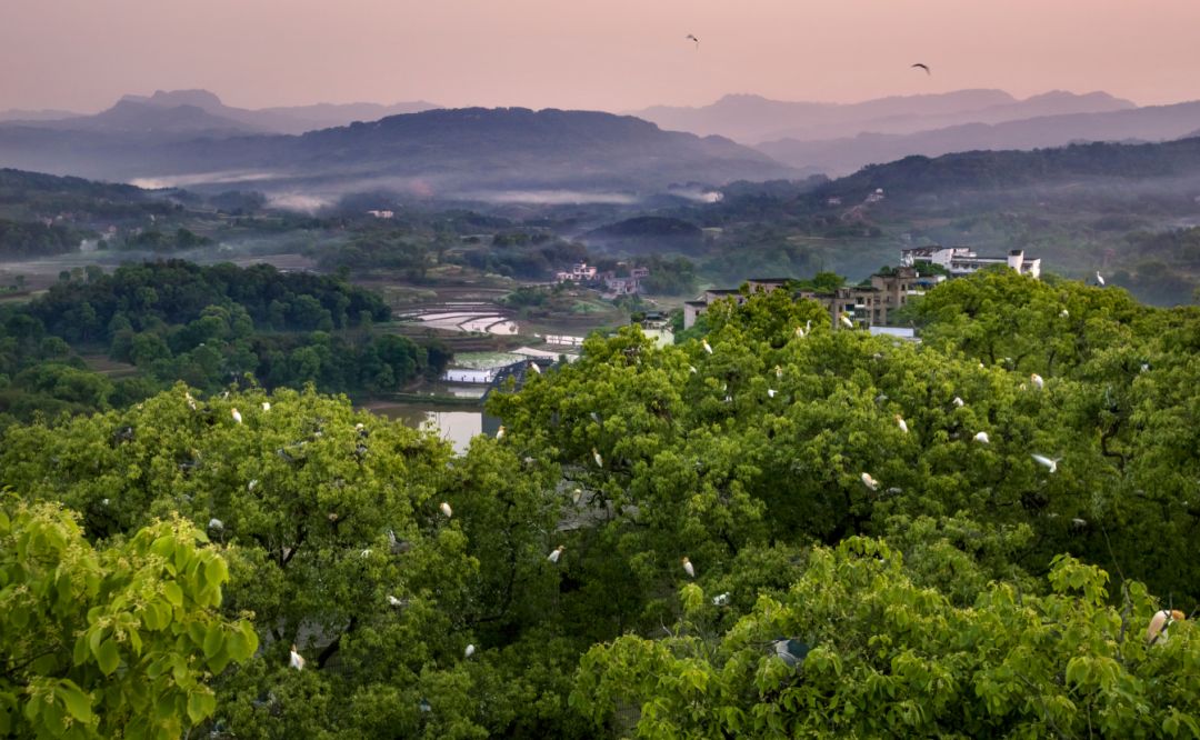 黑石山人口_黑石山