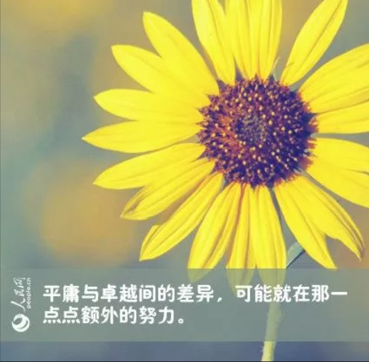 19高考作文预测 两大主题 七类素材 地球