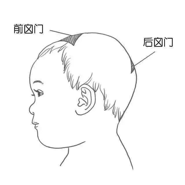 孩子脑袋上的囟门不能摸?真相是.