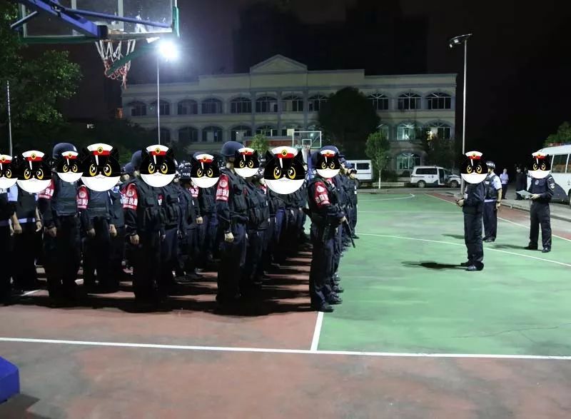 龙邦镇人口_人口普查(2)