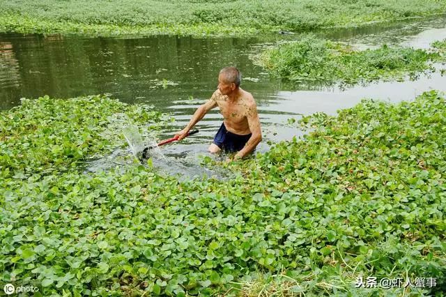 致富龙虾养殖小视频大全_致富经龙虾养殖技术视频_致富经养殖小龙虾