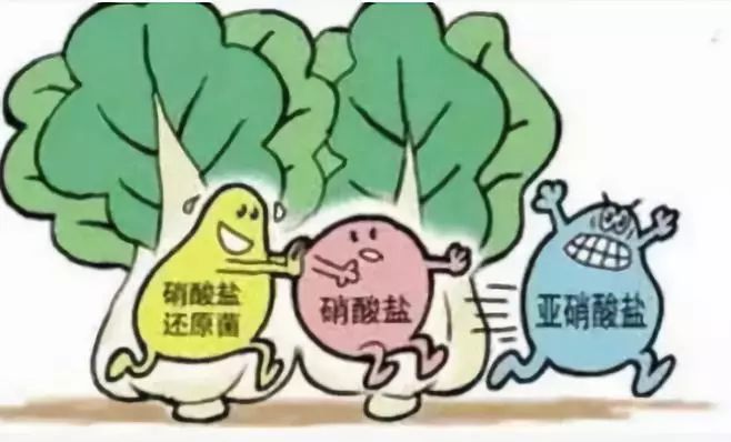 烧是什么意思啊 1e572657cf9047879a27de8a07b4532f.jpeg