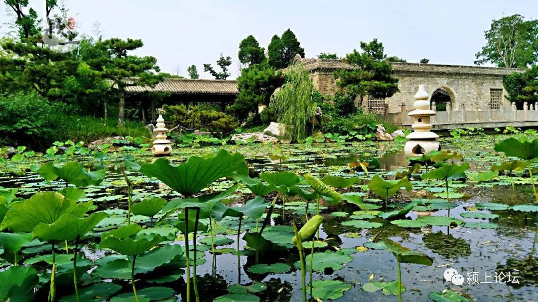 夏日尤园:尤家花园 尤氏故居,尤园景区全面完工!