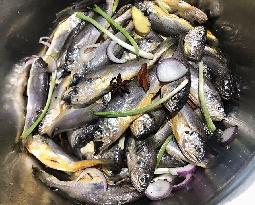 如何杀黄鱼视频 4136ef7844944b3a97b6fda6818df05d.jpeg