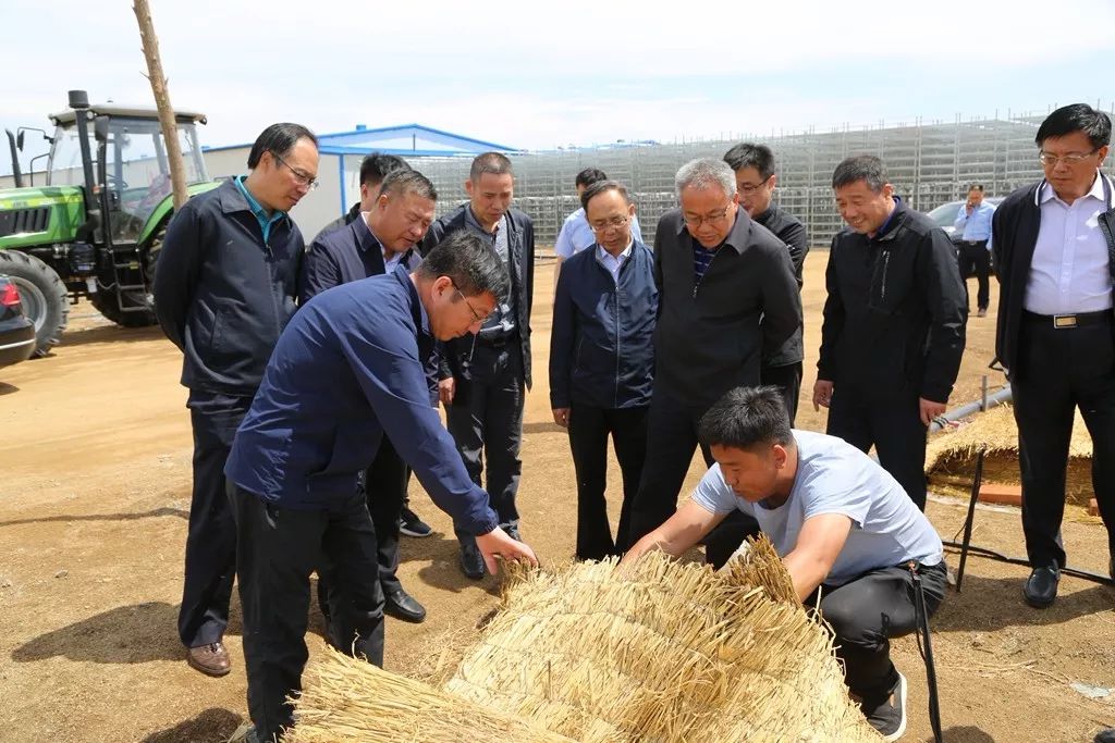 自治区政府副秘书长王荣武一行到扎旗调研