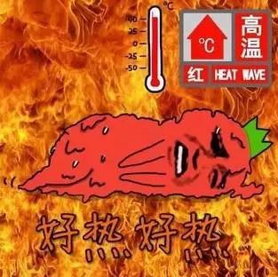 37℃+！丰县高温来袭！热到融化！还有更刺激的……