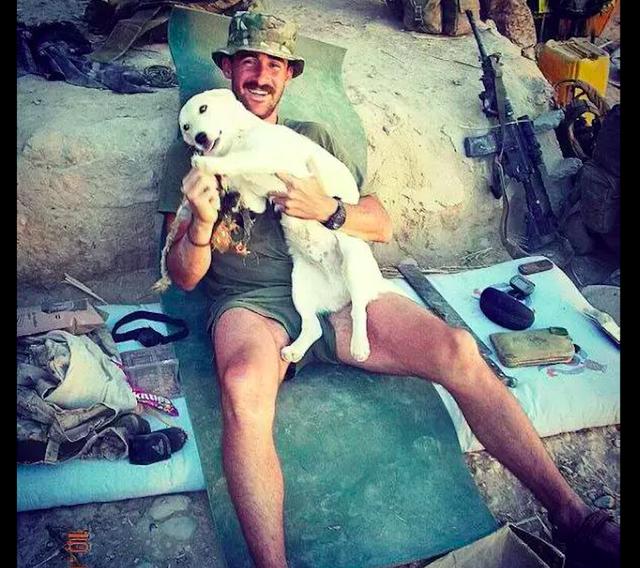 士兵在危險的戰場救了只流浪狗，狗狗則用一生來報答拯救了他 寵物 第2張