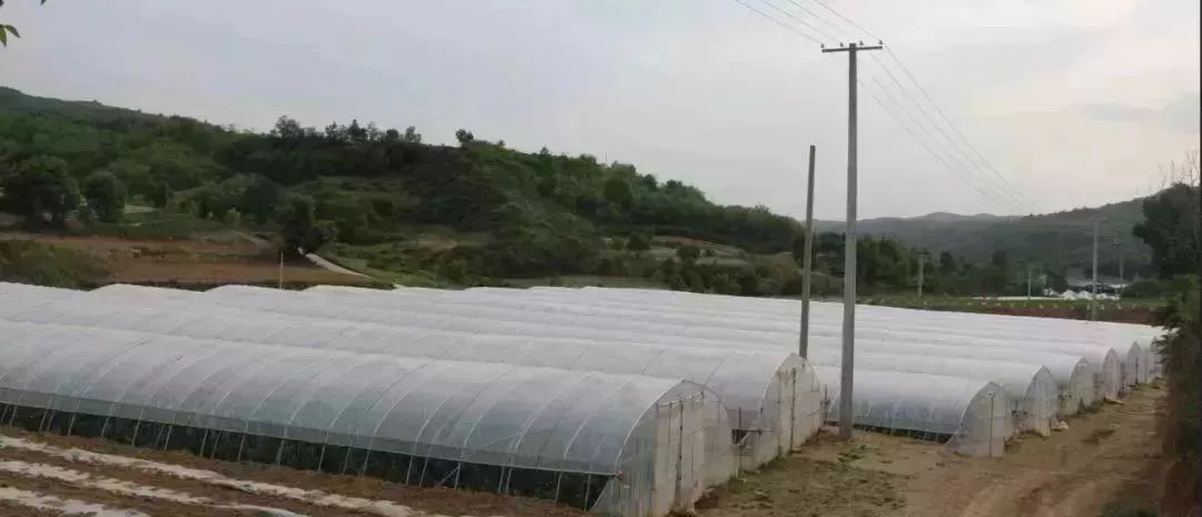 关庄镇人口_铜川市zz关庄镇史浩南