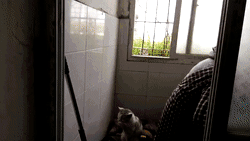62a9fad9a9674f89ab599019ebf4d556.gif