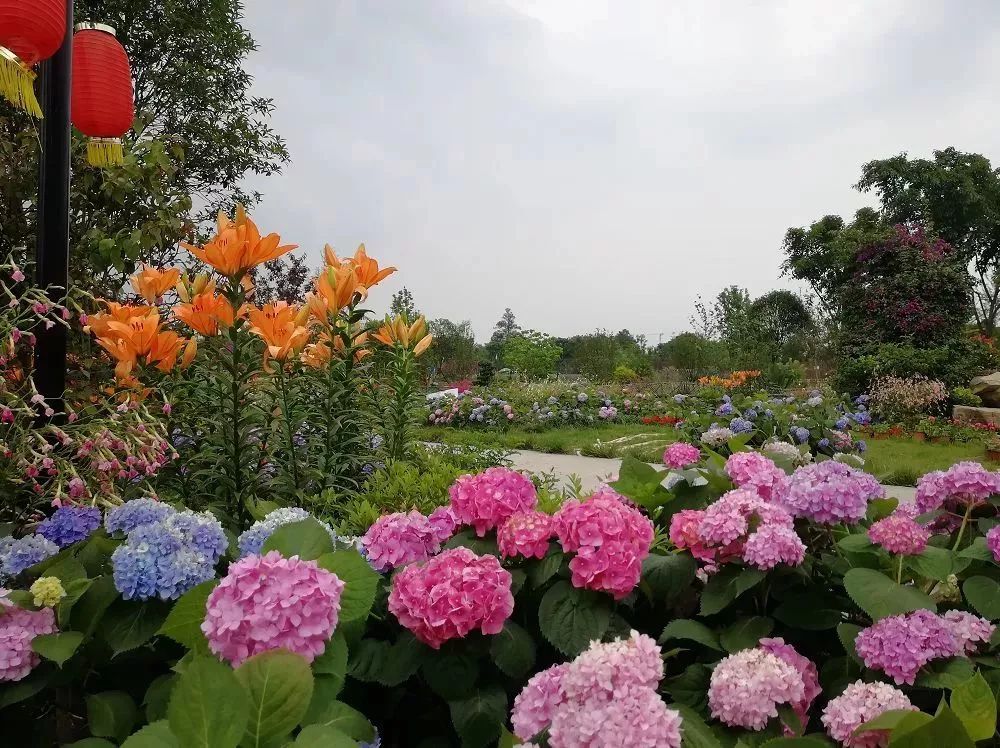 芳菲四月春意浓 紫薇田园品国风—孝昌县实验中学研学旅行活动