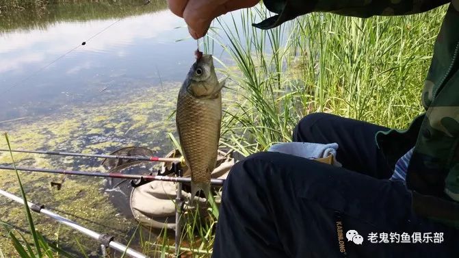 钓鱼找底7个误区,应该这样避免