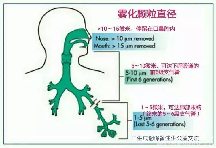 雾化吸入作用原理与适应症是什么_雾化治疗的作用是什么(2)