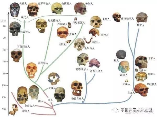 什么是分子生物学 8c71fd8014be4af7bb128c01ee1fbe26.jpeg