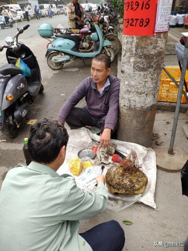 石康镇总人口_合浦县石康镇卫生院(2)