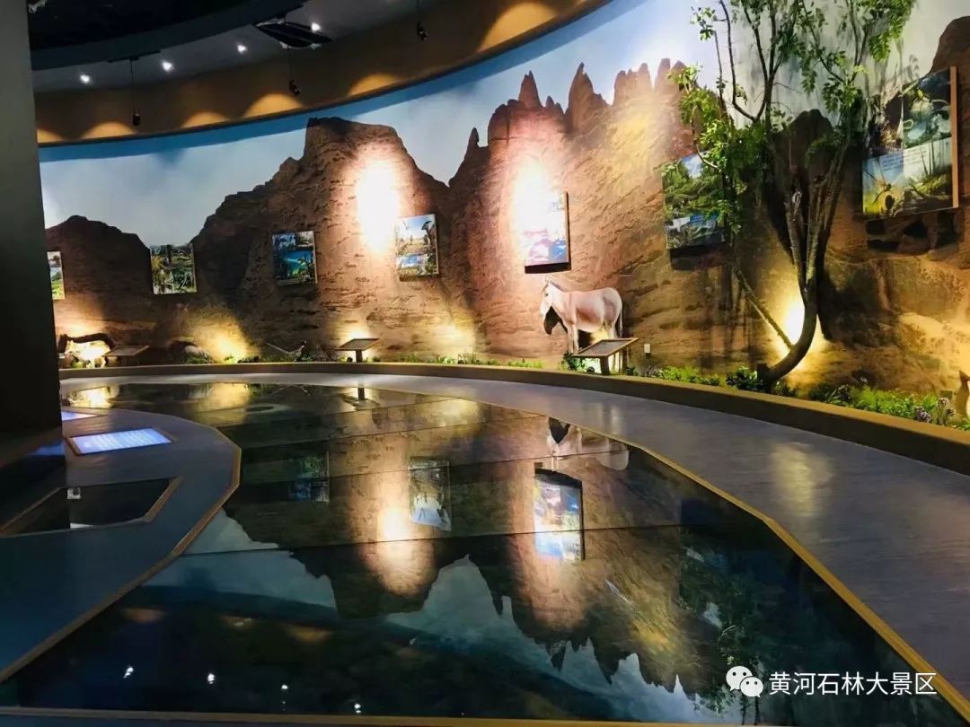 一举两得 01  6月7日 陈列馆转一转:寻一段历史,访一个故事 黄河水上