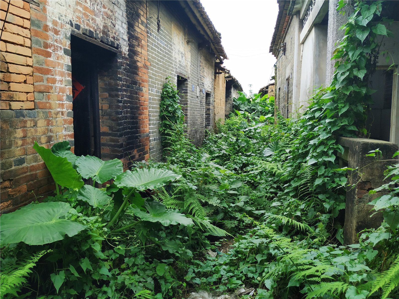 东莞谢岗黎村,市集生活,现代别墅,神秘古村落
