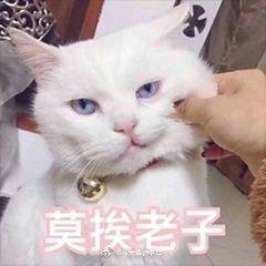 c4afa68f56084b2ca250a36b76c5a32a.jpeg